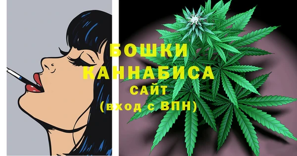 гидропоника Белоозёрский