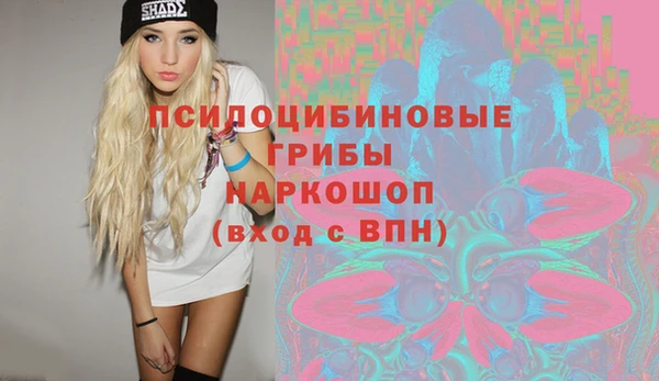 гидропоника Белоозёрский
