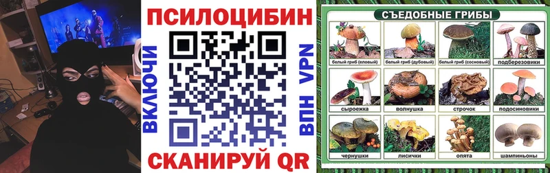 Псилоцибиновые грибы Psilocybine cubensis  где купить наркоту  Сковородино 